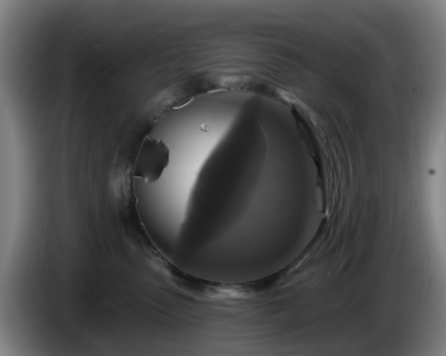 X0000086730475200704201650