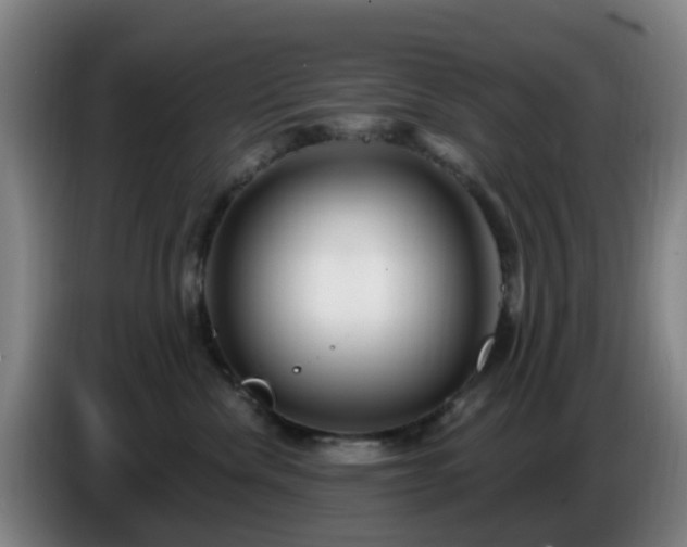 X0000086730476200704201650