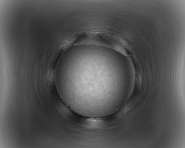 X0000086730477200704201650