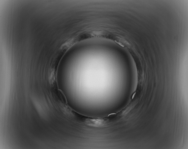 X0000086730478200704201650