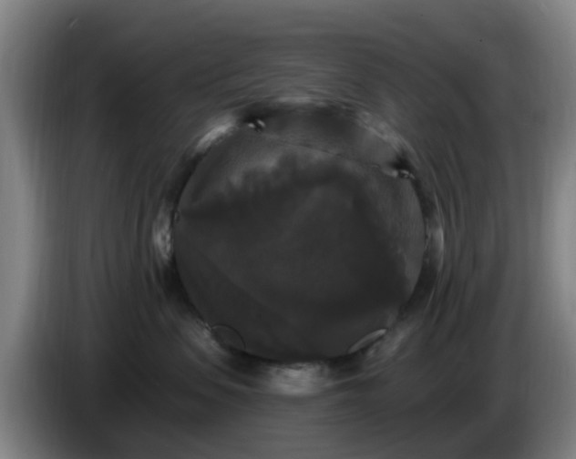 X0000086730479200704201650