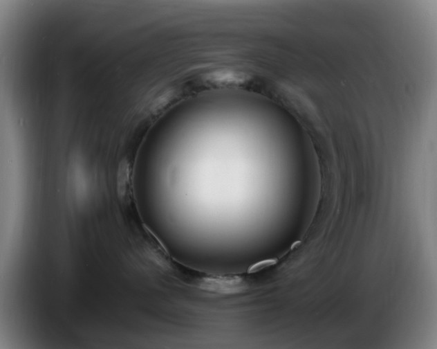 X0000086730480200704201650