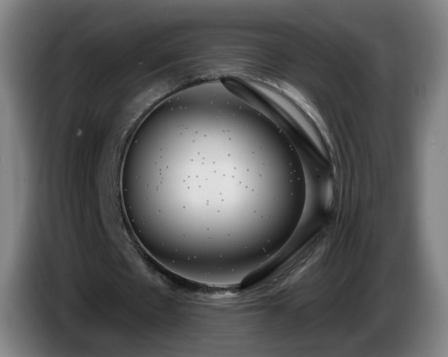 X0000086730481200704201649