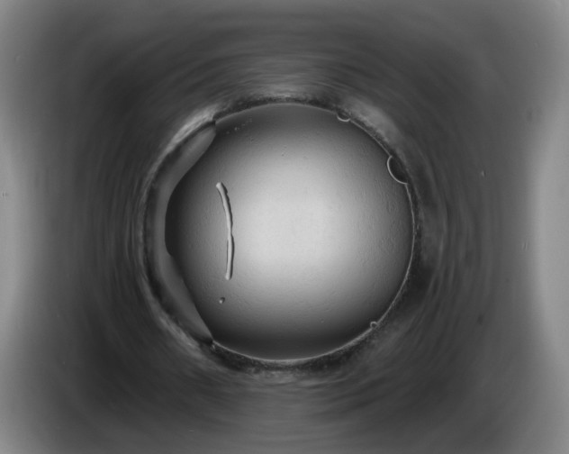 X0000086730482200704201649