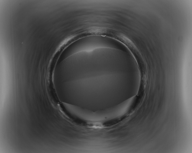 X0000086730484200704201649