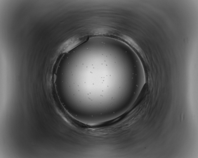 X0000086730485200704201649