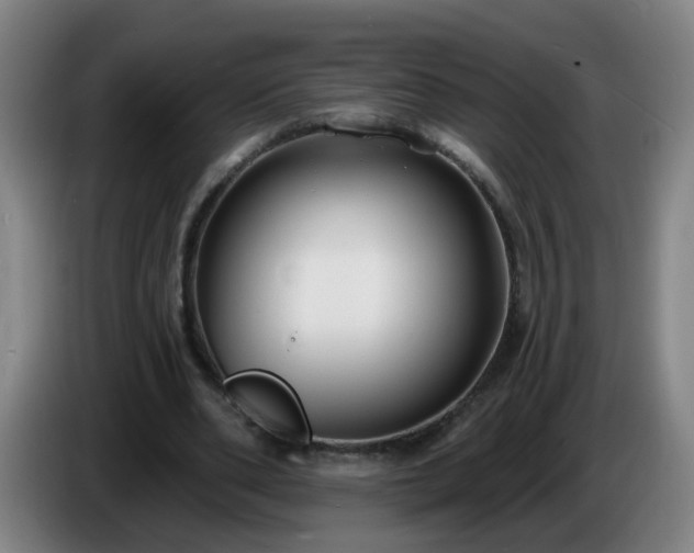 X0000086730486200704201649