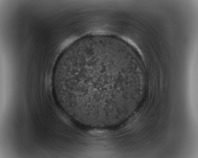 X0000086730487200704201649