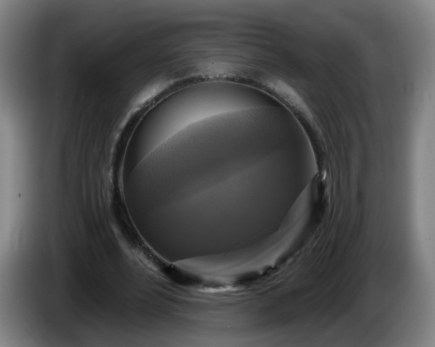 X0000086730488200704201649