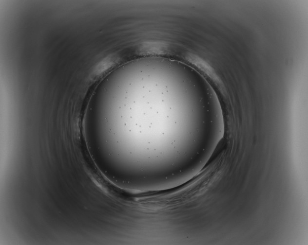 X0000086730489200704201649