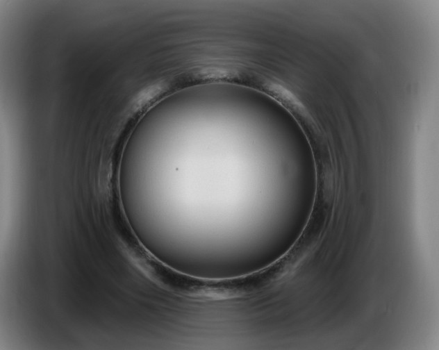 X0000086730490200704201649