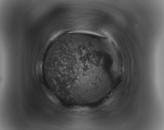 X0000086730491200704201649