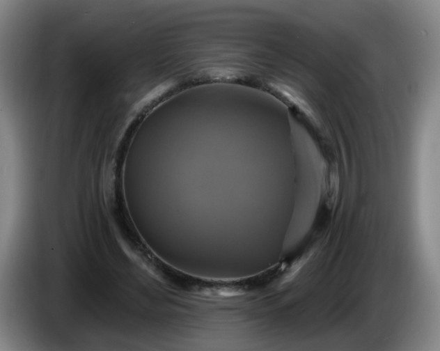 X0000086730492200704201649