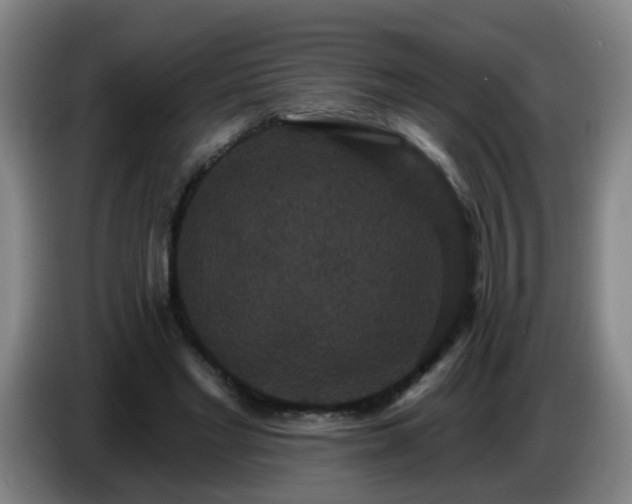 X0000086730493200704201649