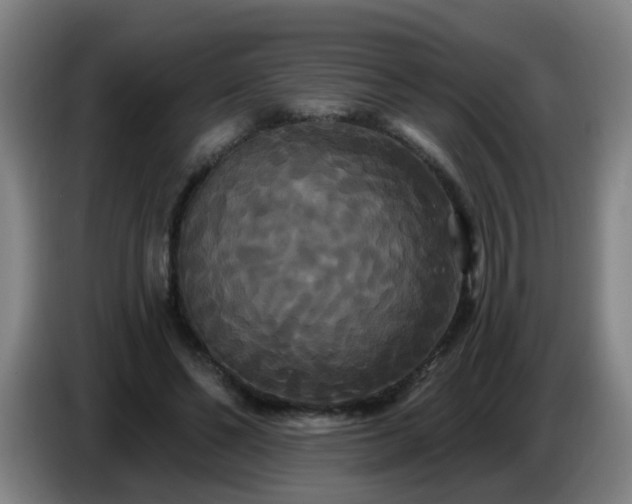 X0000086730494200704201649