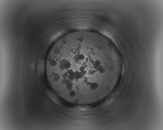 X0000086730495200704201649