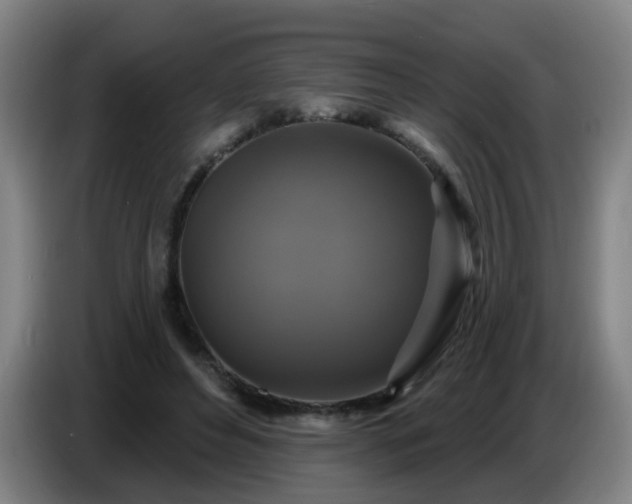 X0000086730496200704201649