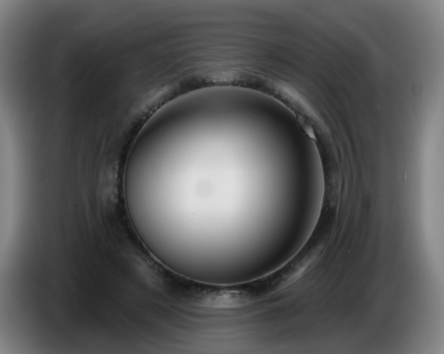 X0000086730497200704201649