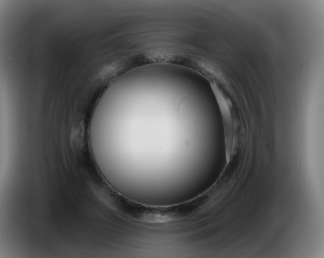 X0000086730498200704201649