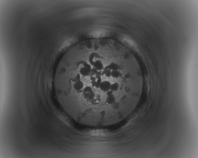 X0000086730499200704201649