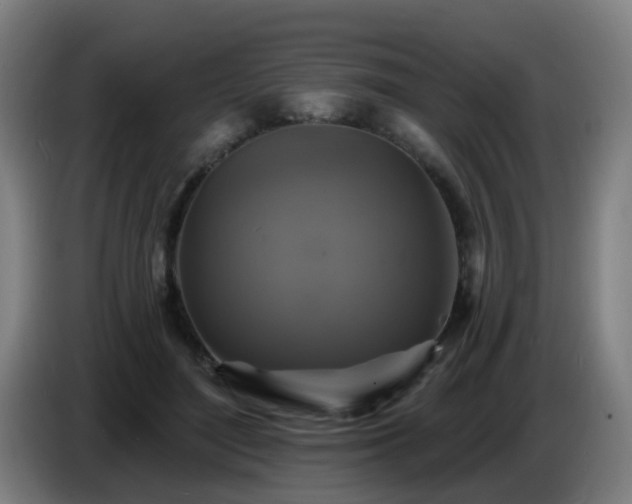 X0000086730500200704201649