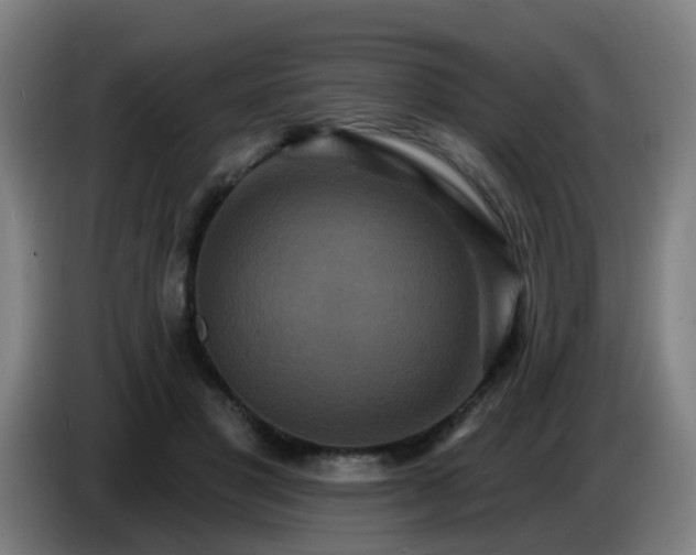 X0000086730501200704201649