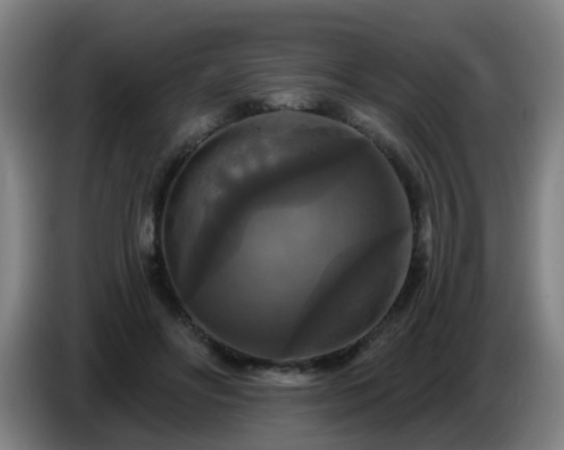 X0000086730502200704201649