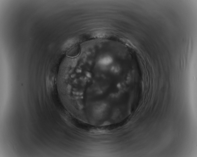 X0000086730503200704201649