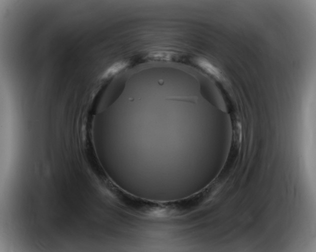 X0000086730504200704201649