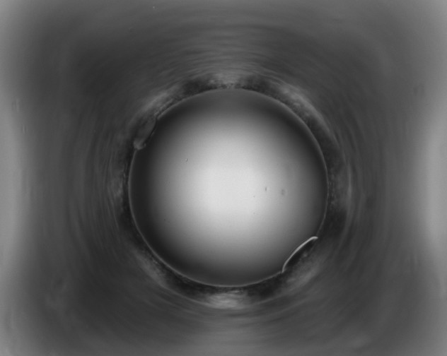 X0000086730505200704201649