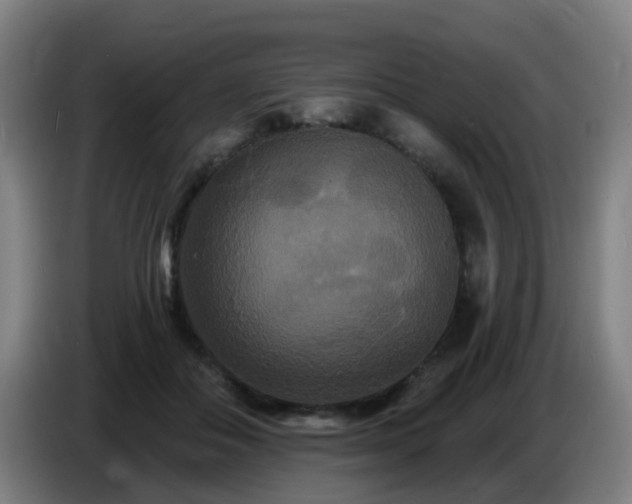 X0000086730506200704201649