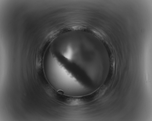 X0000086730507200704201649