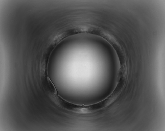 X0000086730509200704201649