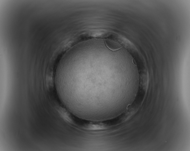 X0000086730510200704201649