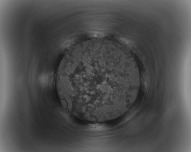 X0000086730511200704201649