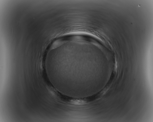 X0000086730512200704201649