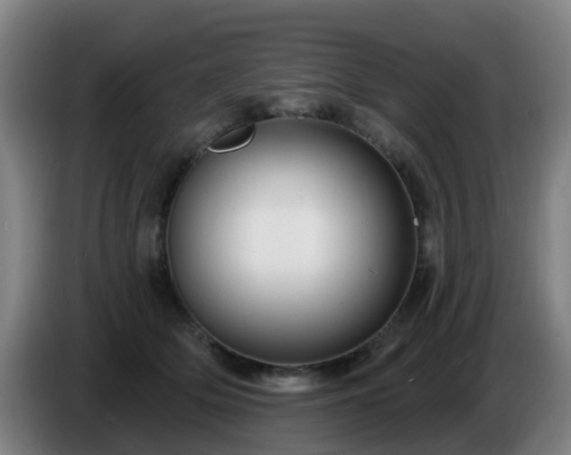 X0000086730514200704201649