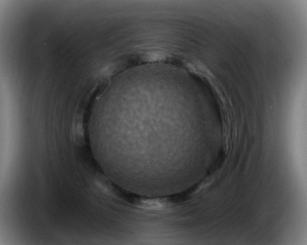 X0000086730516200704201649