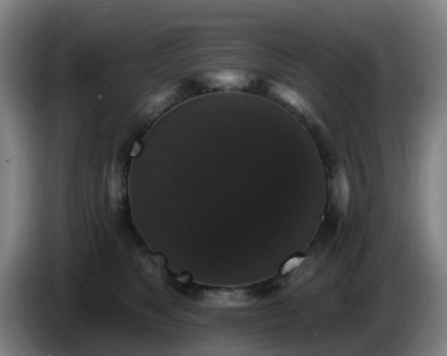 X0000086730517200704201649