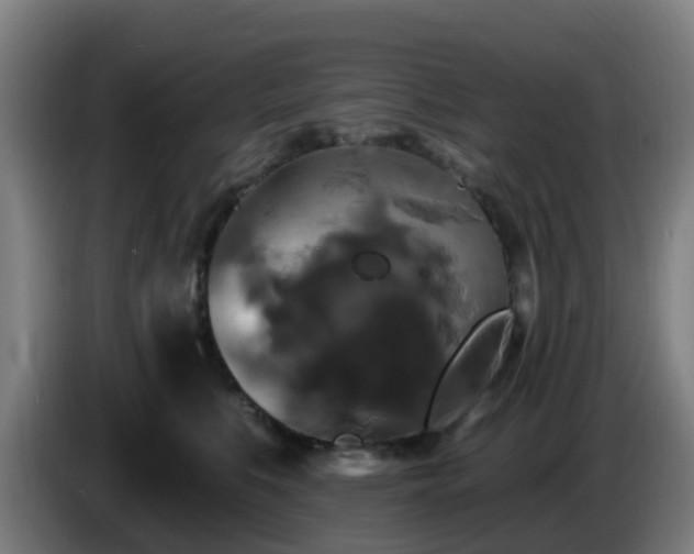 X0000086730519200704201649