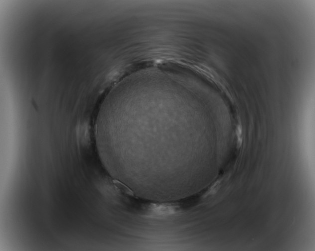 X0000086730520200704201649