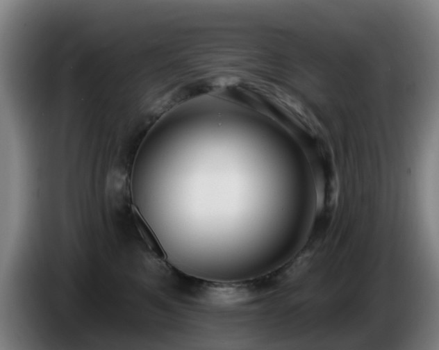 X0000086730521200704201649