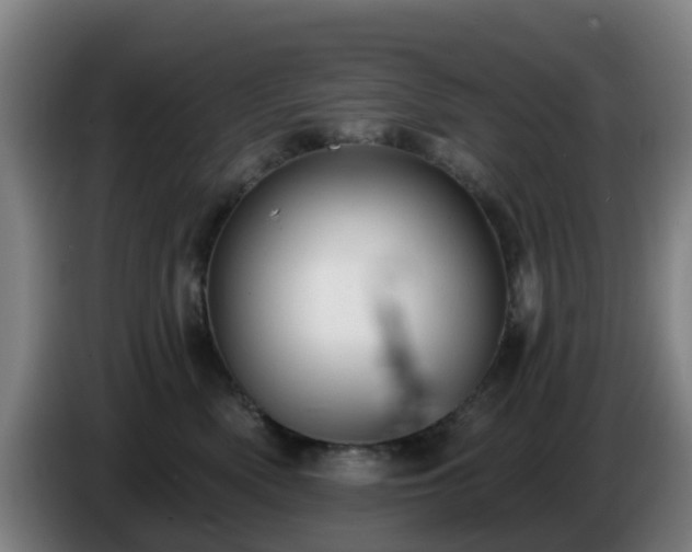 X0000086730522200704201648