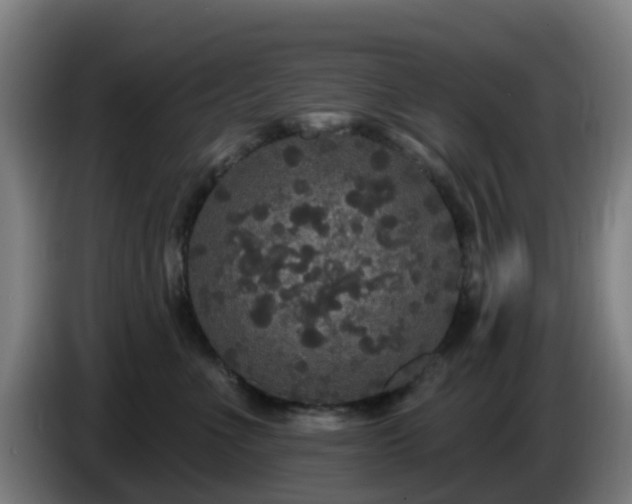 X0000086730523200704201648