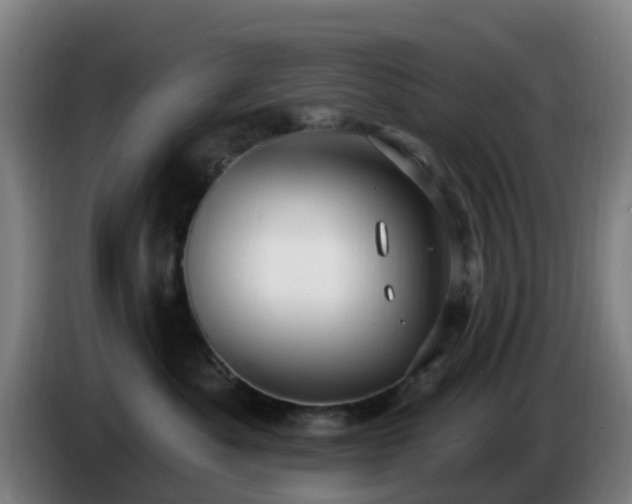 X0000086730525200704201648