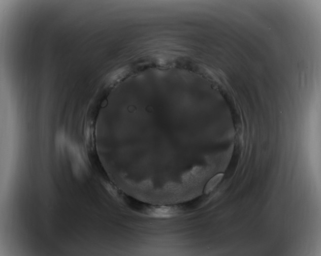 X0000086730527200704201648