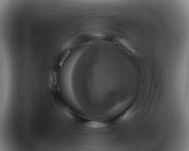 X0000086730528200704201648