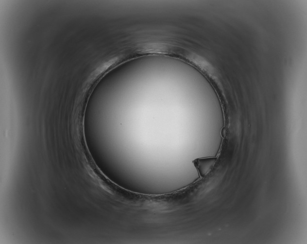 X0000086730529200704201648