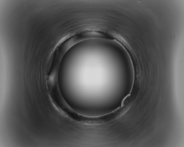 X0000086730530200704201648