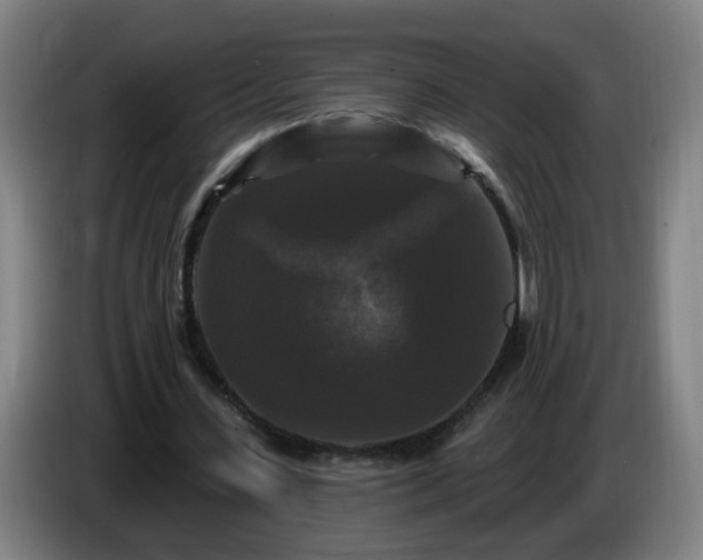 X0000086730531200704201648